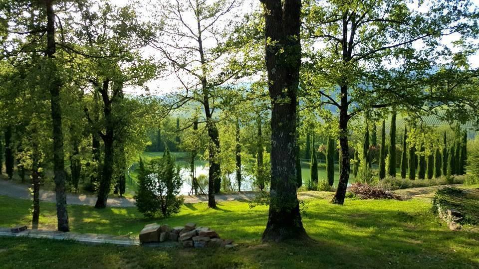 Holiday House Le Selvole رادا إنْ كيانتي الغرفة الصورة