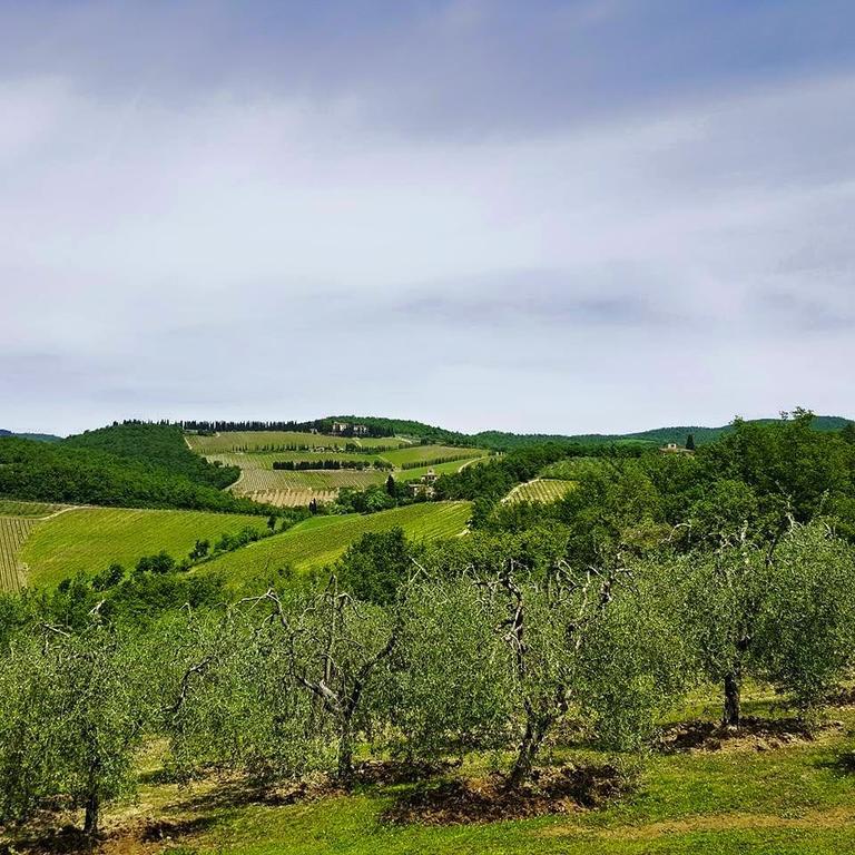 Holiday House Le Selvole رادا إنْ كيانتي الغرفة الصورة