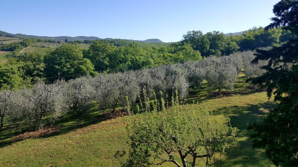 Holiday House Le Selvole رادا إنْ كيانتي المظهر الخارجي الصورة