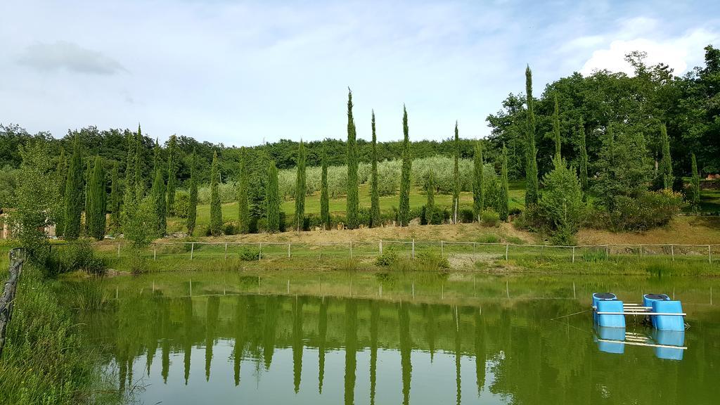 Holiday House Le Selvole رادا إنْ كيانتي المظهر الخارجي الصورة